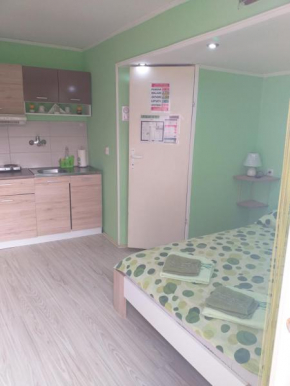 Apartman Andjela 1, Vrdnik